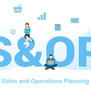 Sales and Operations Planning (S&OP) End-to-End S&OP Planning & Execution serices